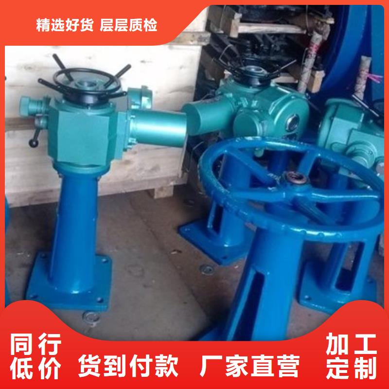 龙江镇封闭式启闭机订制