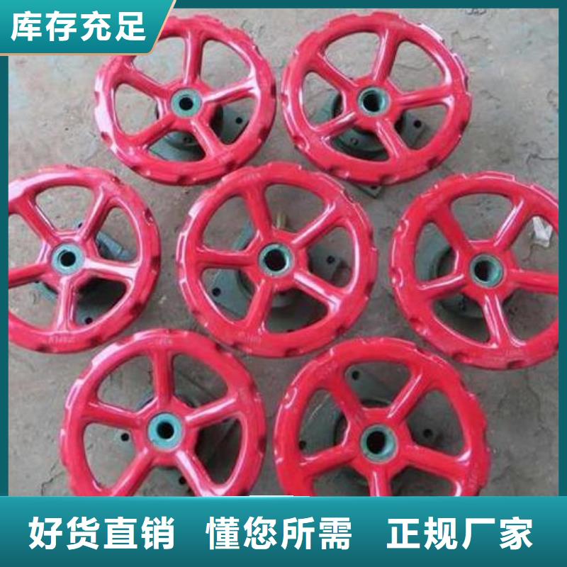 螺杆启闭机球墨铸铁闸门厂家生产经验丰富