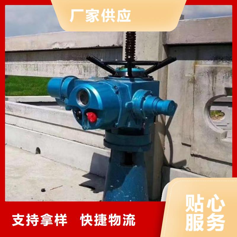  螺桿啟閉機(jī)甄選好廠家