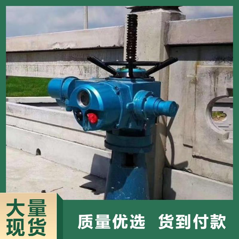 螺桿啟閉機(jī)手搖啟閉機(jī)質(zhì)量層層把關(guān)