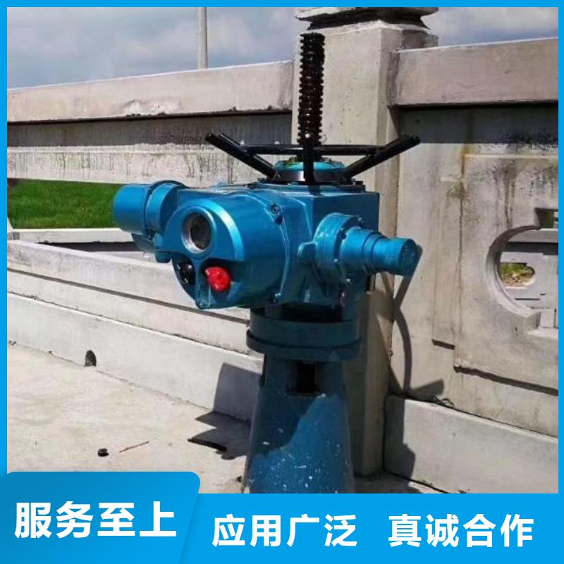 【螺杆启闭机手提铸铁闸门符合行业标准】
