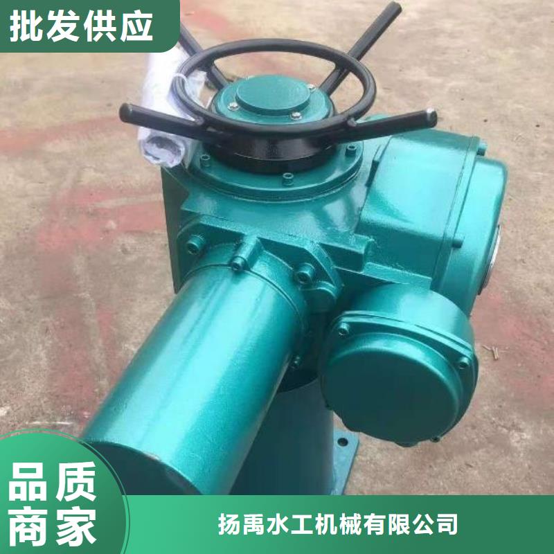 【螺杆启闭机 液压启闭机专业完善售后】
