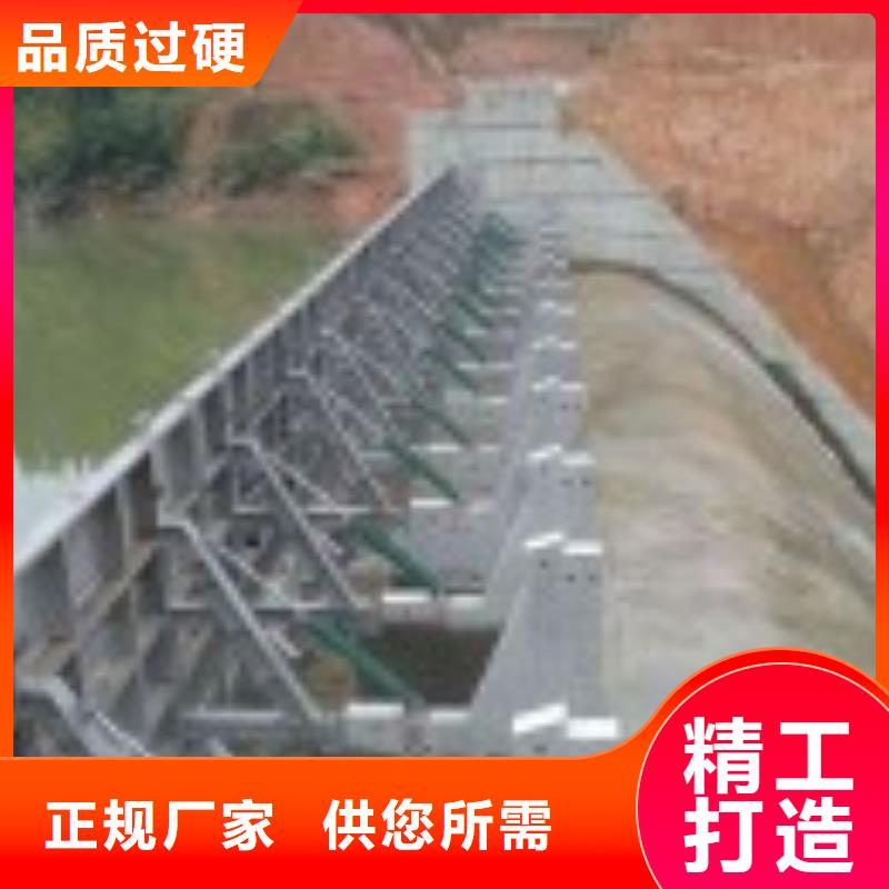 翻板闸门现货实拍
