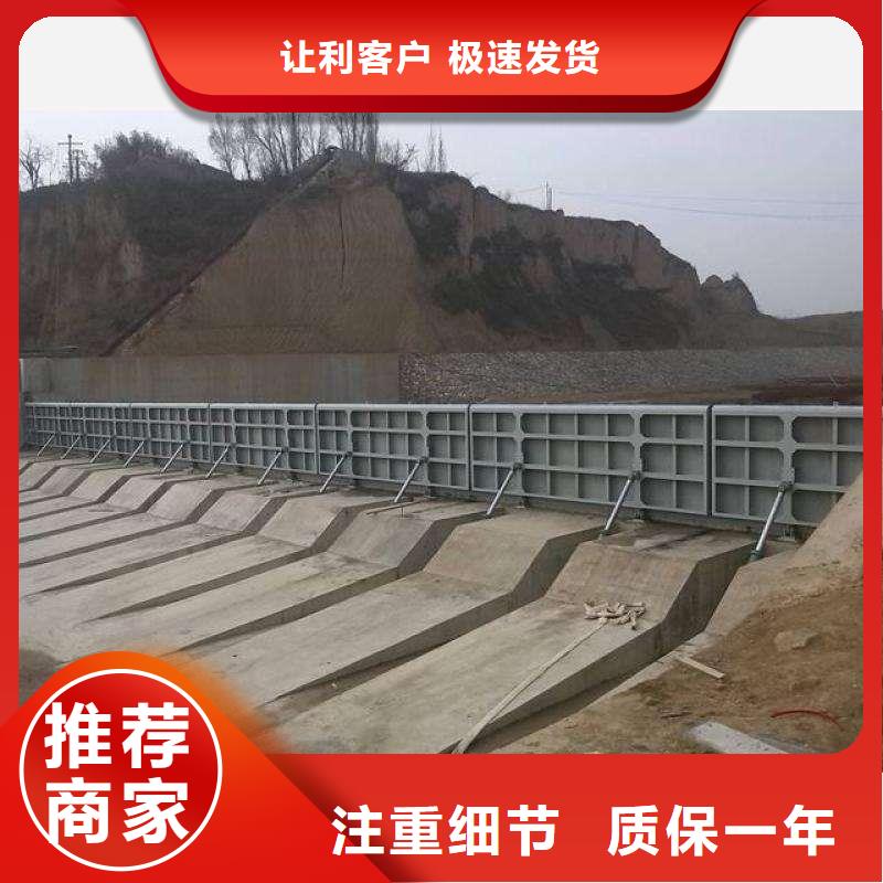 翻板闸门_拍门优良工艺