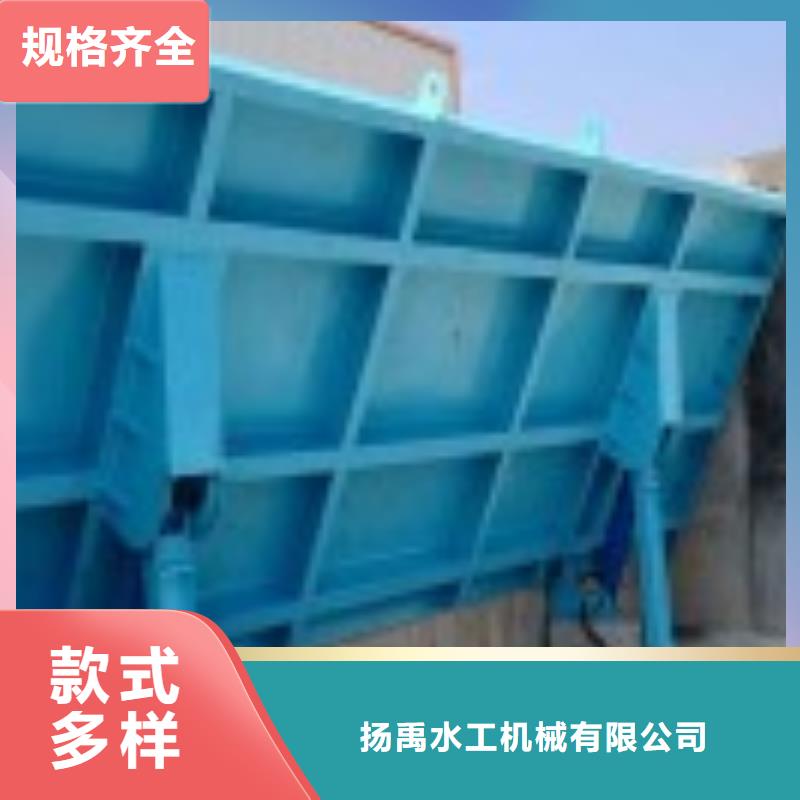 翻板闸门不锈钢拍门品质优选