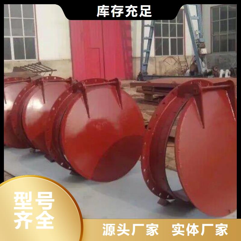 拍门,【钢制闸门】满足多种行业需求当地货源