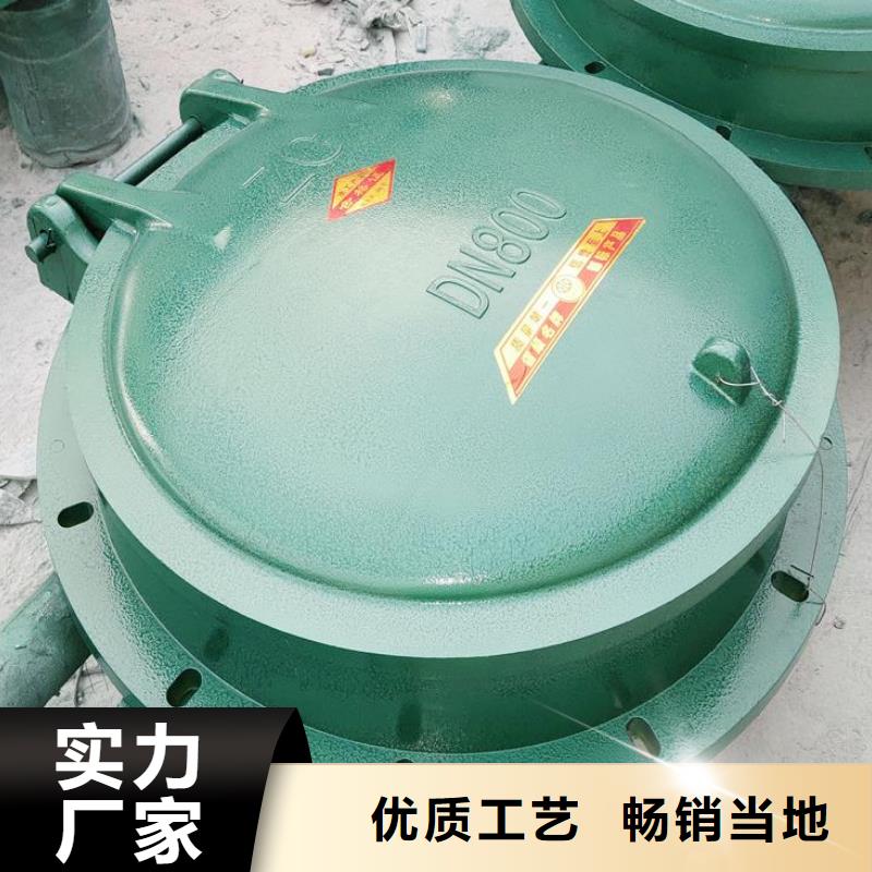  拍门认准大品牌厂家