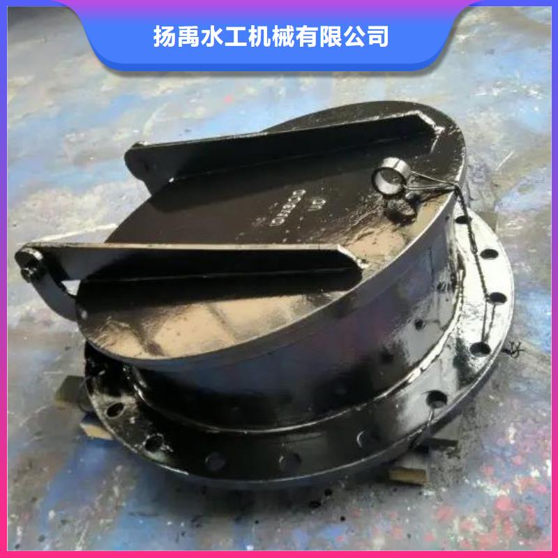 拍门【不锈钢拍门】专注细节专注品质