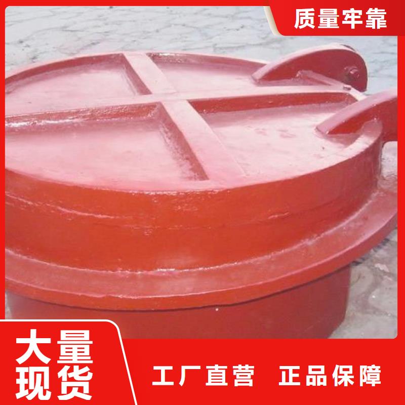 【拍门-钢制拍门厂家严格把控每一处细节】