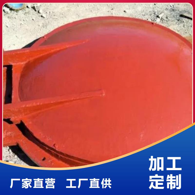 拍门_【卷扬启闭机厂家】优良工艺同城公司