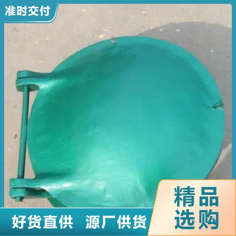 拍门钢制闸门常年供应