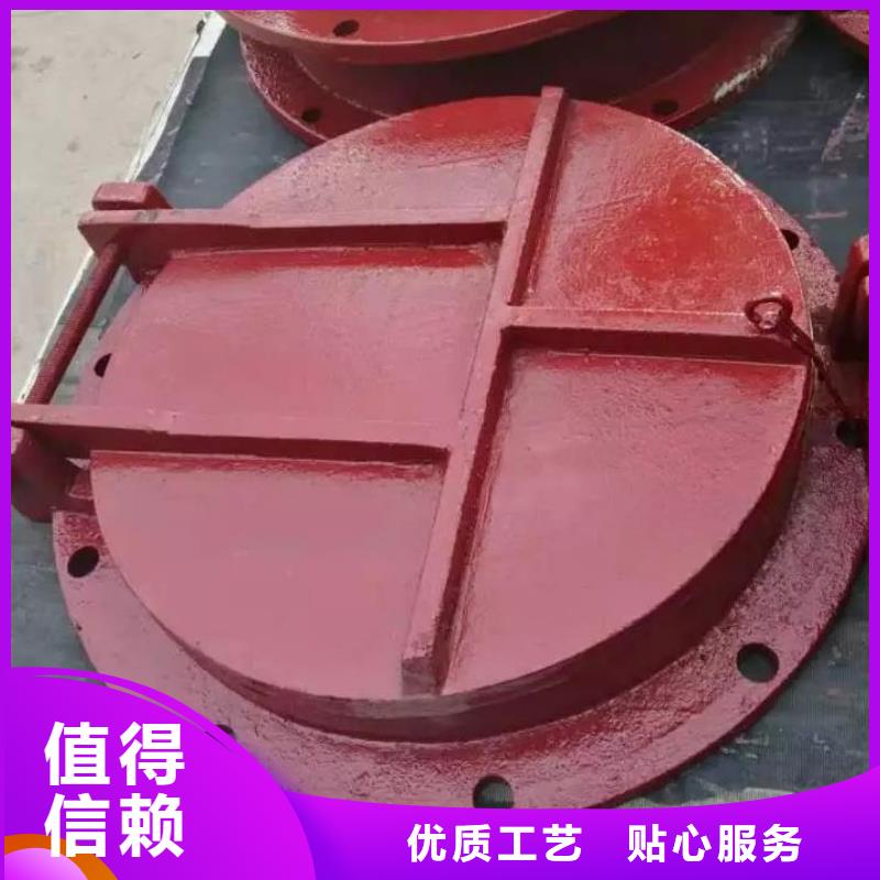 拍门,【钢制闸门】满足多种行业需求当地货源
