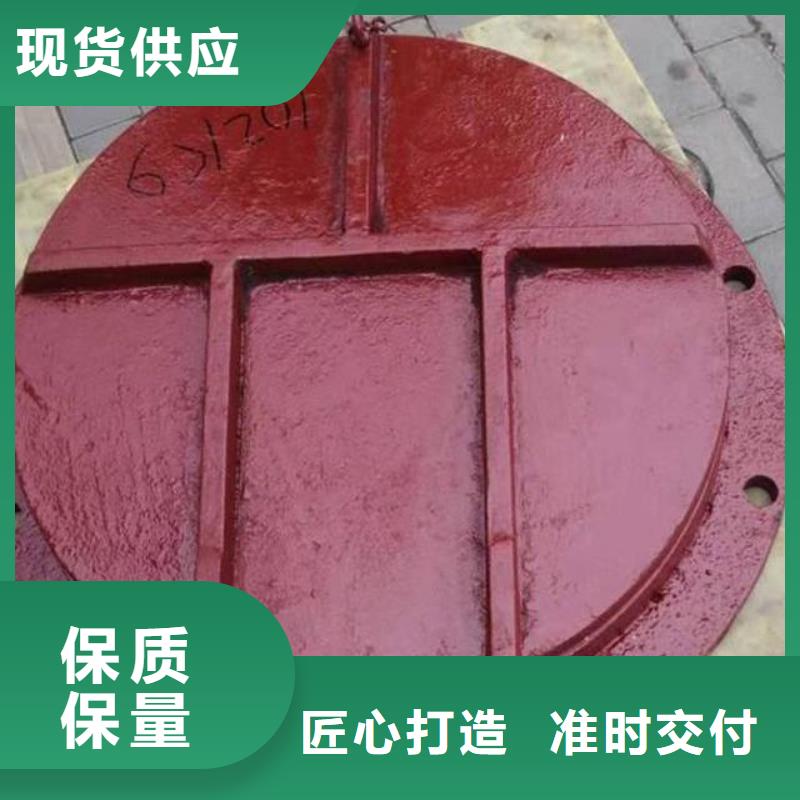 拍门,扇形闸门实力派厂家