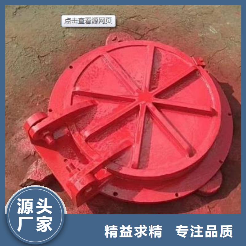 【拍门钢制拍门厂家应用范围广泛】