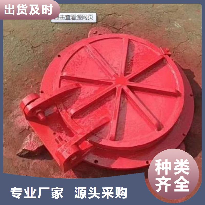 拍门-钢制拍门甄选好物