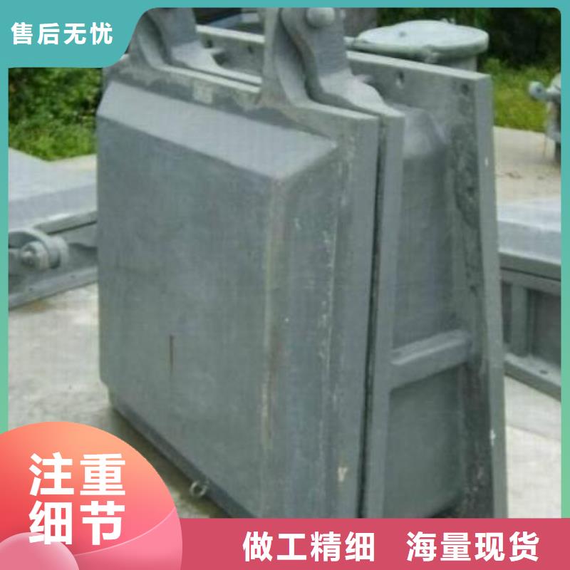 拍门双向止水闸门放心选购