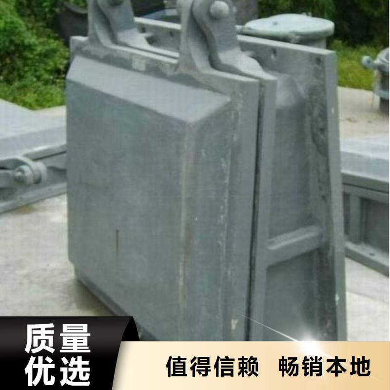 拍门卷扬启闭机厂家品质无所畏惧
