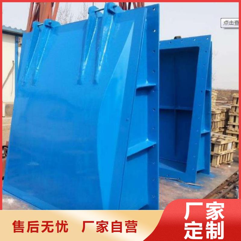 拍门【球墨铸铁闸门】品类齐全