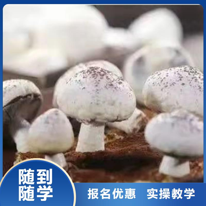 清苑中西糕點學校招生電話是多少
