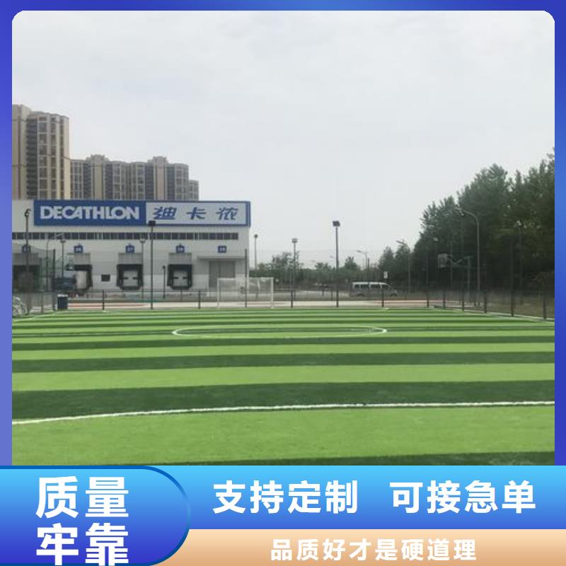 白沙县学校塑胶跑道PVC地板球场厂家可定制厂家