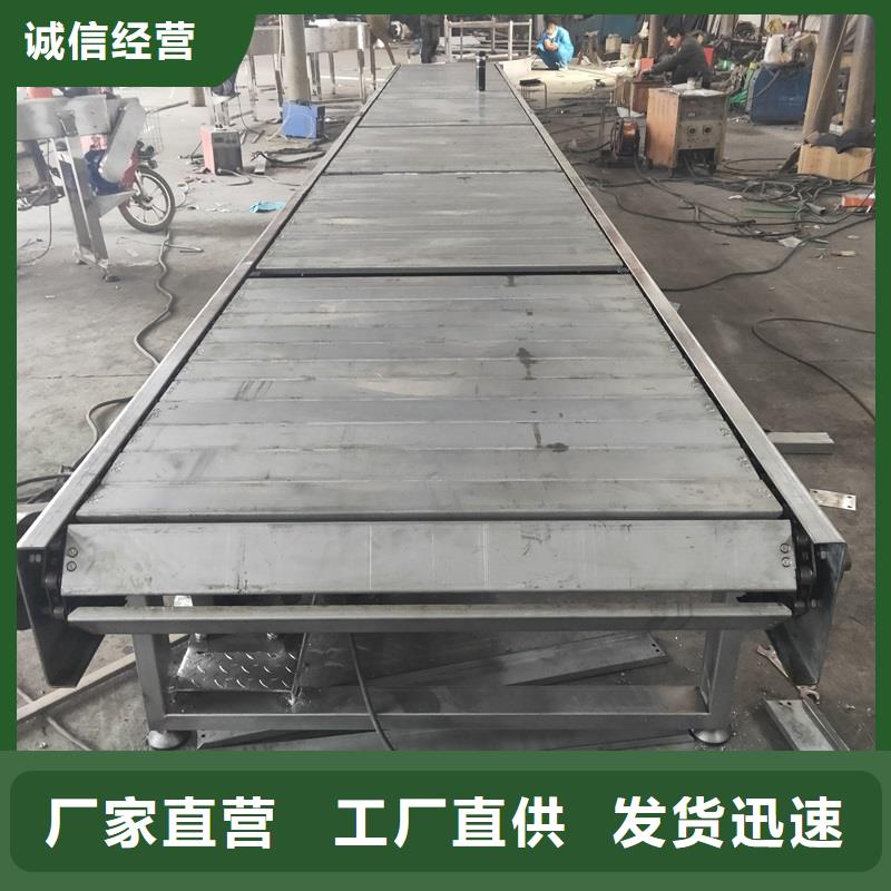 Flexiblechainconveyor出厂价格