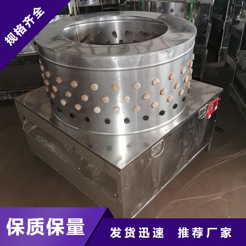 【家禽脱毛机】输送带厂家好产品放心购-浩宇输送机械制造厂(焦作市分公司)|覆盖地域孟州|博爱|许昌|驻马店|漯河|平顶山|鹤壁|信阳|新乡