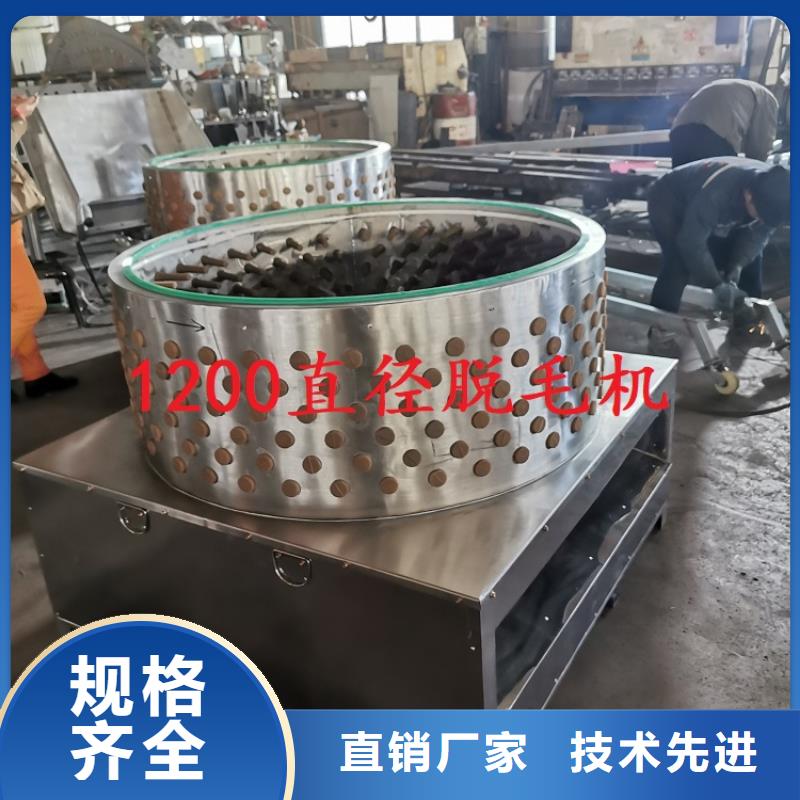 50型脱毛机货源厂家