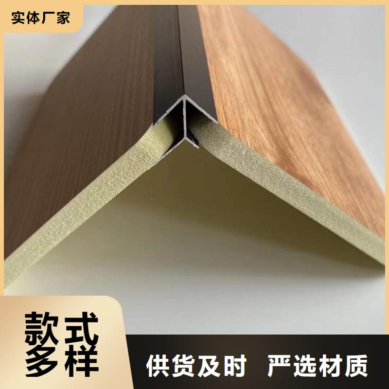 木饰面户外木塑墙板专业生产设备