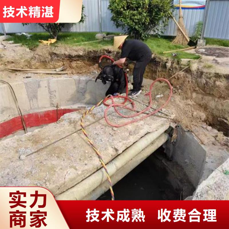 雁江水下打捞队-本地潜水打捞施工队