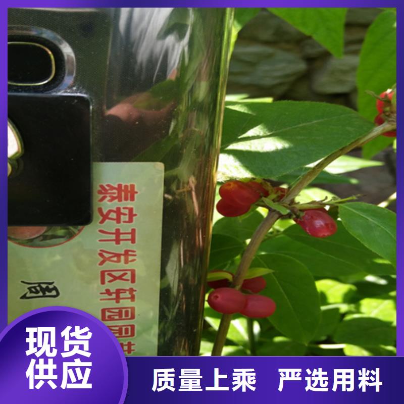 杈杷果多少錢一棵