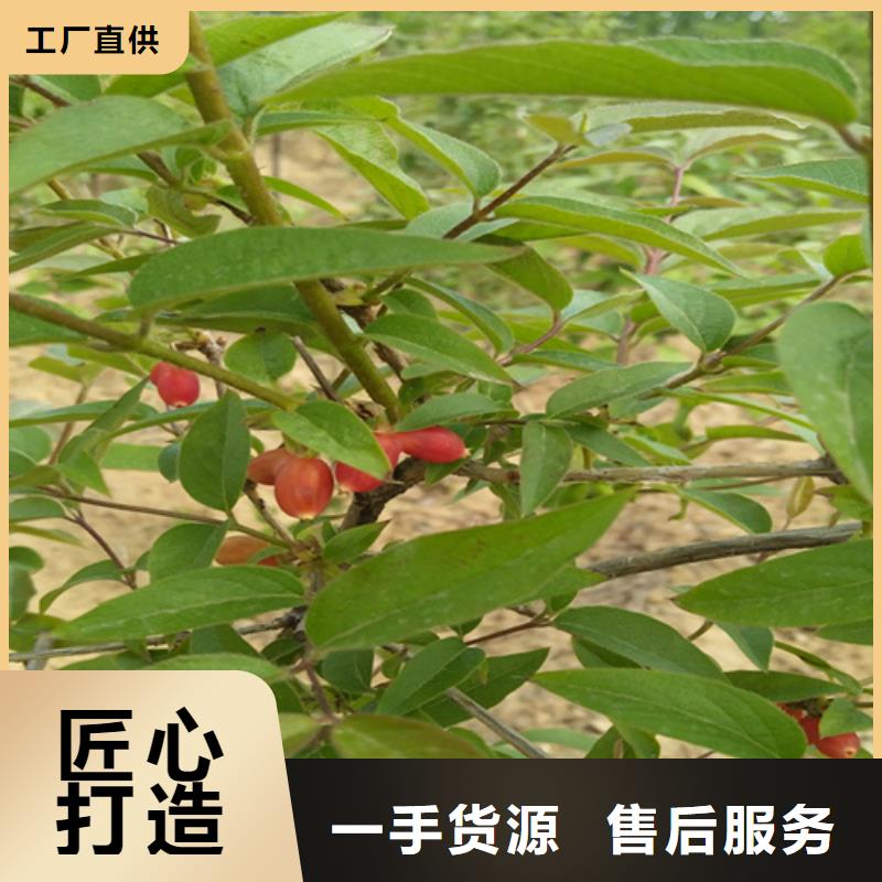 【杈杷】_梨树苗实力才是硬道理|梨树苗-轩园园艺场(青海省分公司)