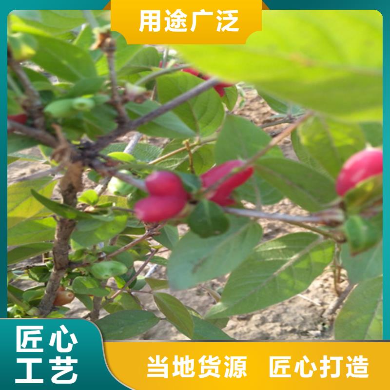 【杈杷】_梨树苗实力才是硬道理