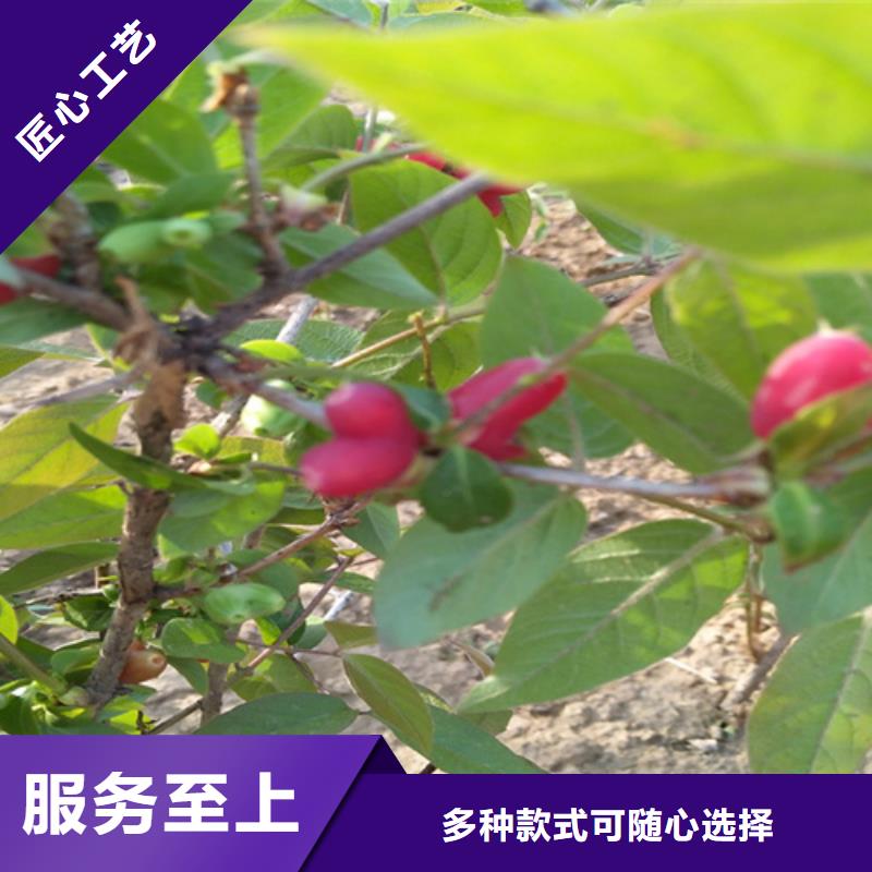【杈杷】_梨树苗实力才是硬道理|梨树苗-轩园园艺场(青海省分公司)