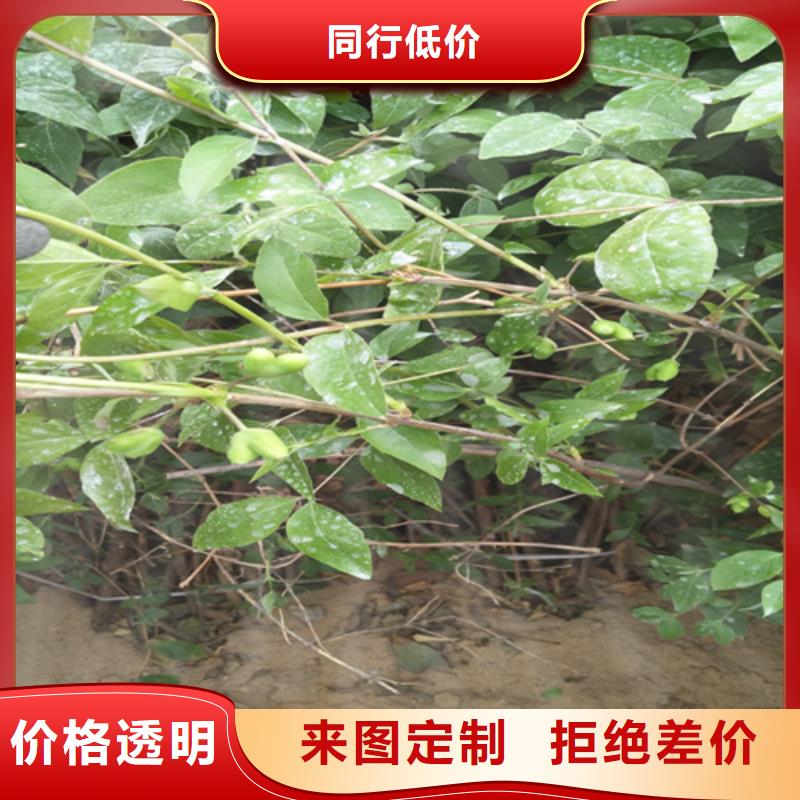 梨树苗视频-青海省|玉树|海东|海西|海南梨树苗-轩园