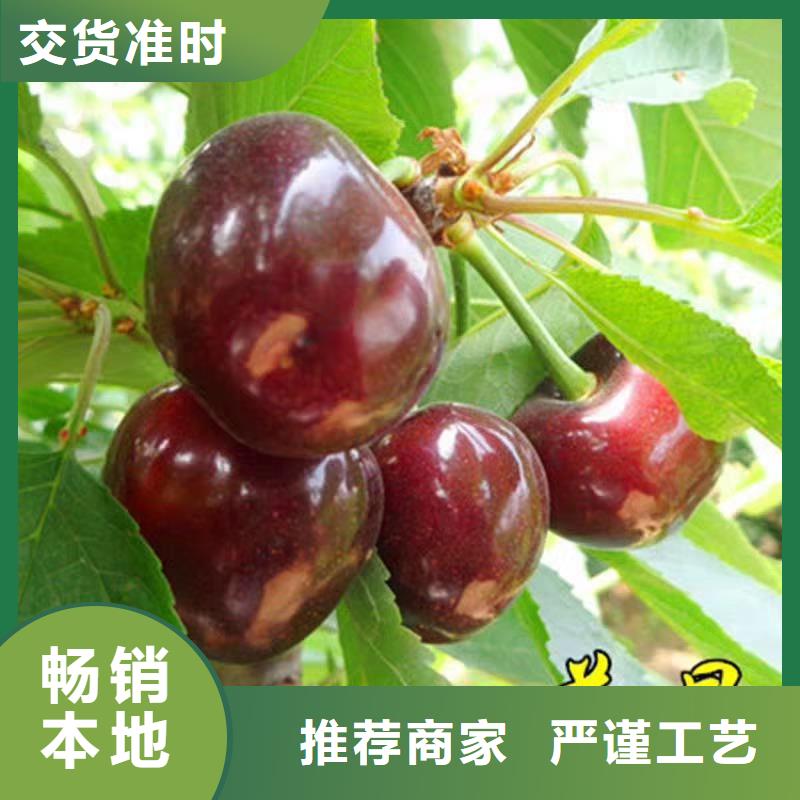 【樱桃樱桃苗0中间商差价】