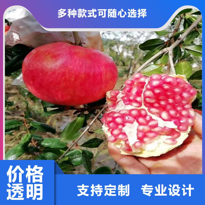 【石榴,獼猴桃苗好貨直銷】