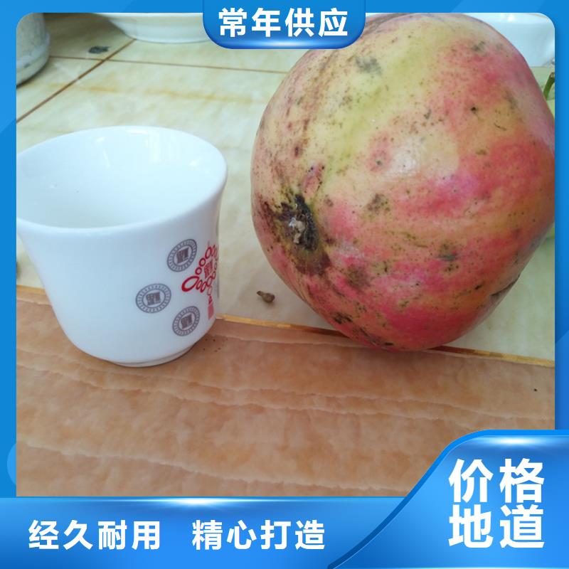【 石榴_石榴树主推产品】-可发货到巴州|南江|遂宁|宜宾|眉山|广元|资阳