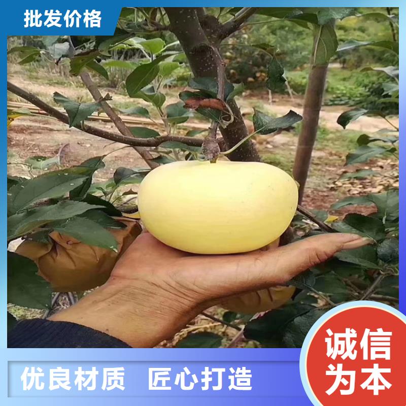 苹果,梨树苗支持定制贴心售后