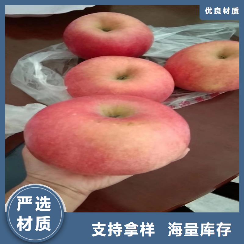 响富苹果苗育苗基地/轩园园艺场