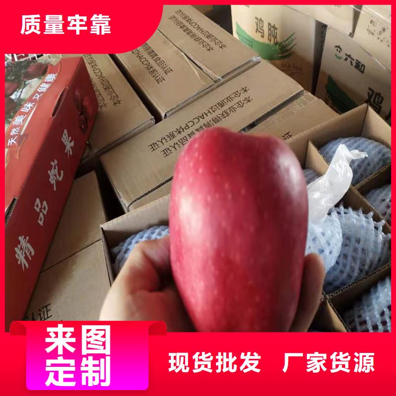 苹果,樱桃苗品质不将就