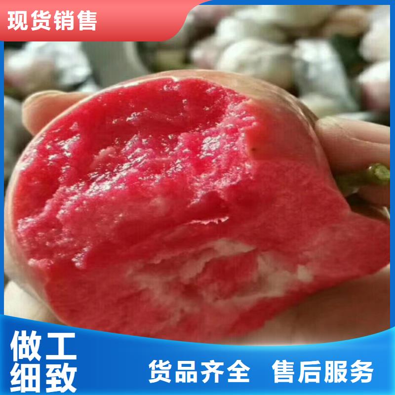 【 苹果苹果苗用心制造】-服务范围包括彰武|细河|本溪|葫芦岛|锦州|抚顺|营口|盘锦|辽阳等