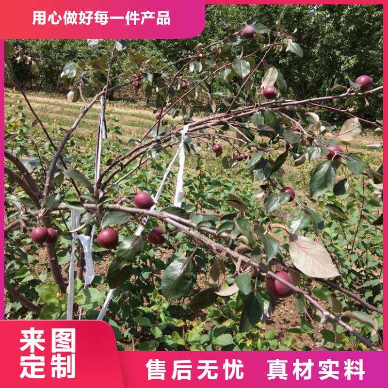 苹果奶油草莓快速发货
