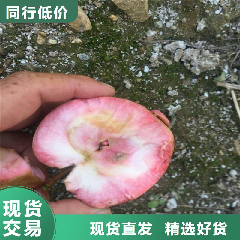 苹果,花椒苗应用领域
