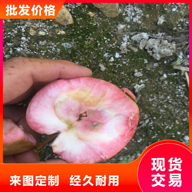 【 苹果苹果苗用心制造】-服务范围包括彰武|细河|本溪|葫芦岛|锦州|抚顺|营口|盘锦|辽阳等