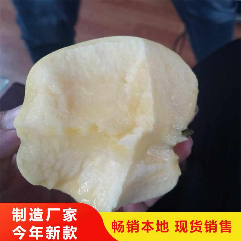 【 苹果苹果苗用心制造】-服务范围包括彰武|细河|本溪|葫芦岛|锦州|抚顺|营口|盘锦|辽阳等