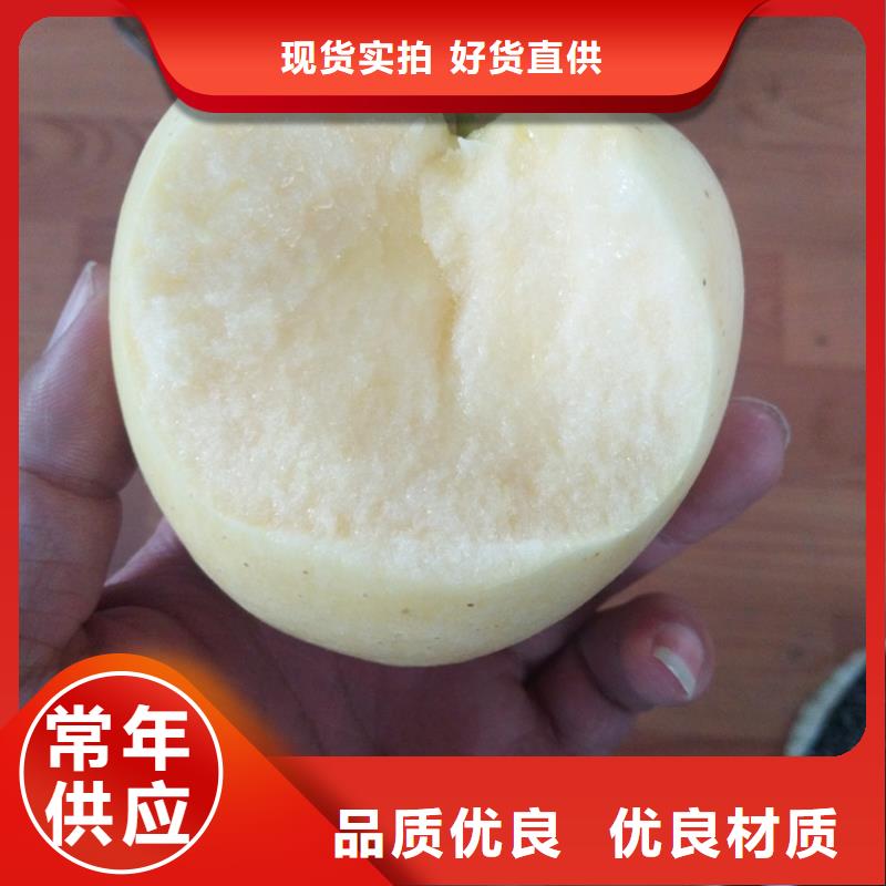 蘋果,梨樹苗支持定制貼心售后