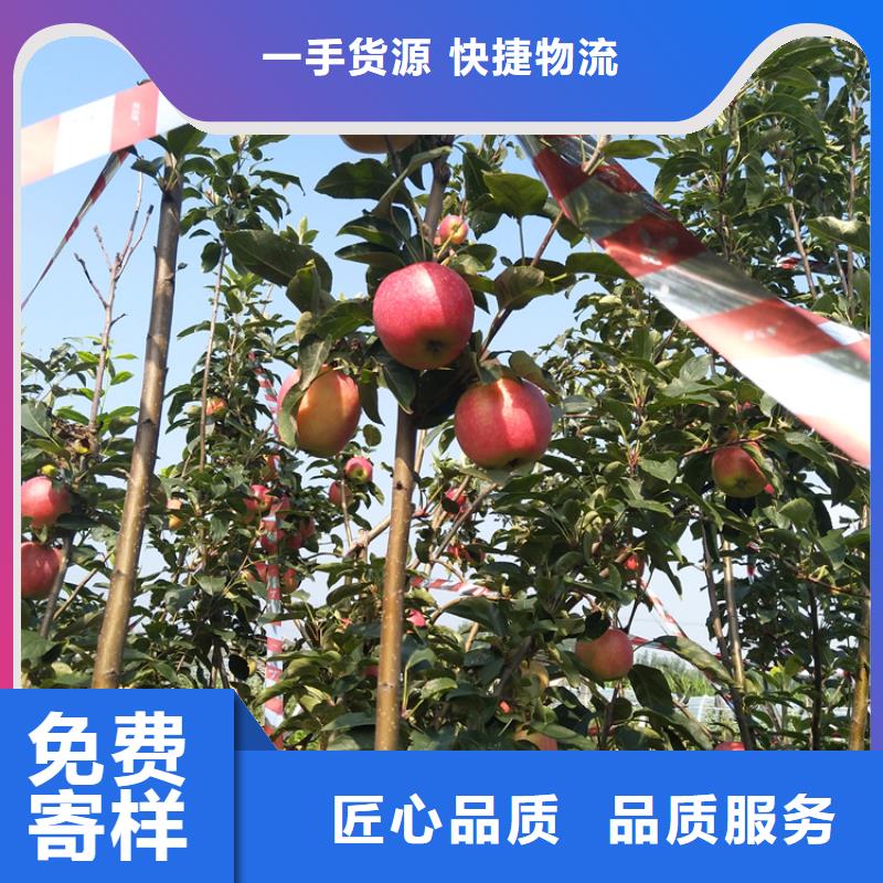 苹果奶油草莓快速发货