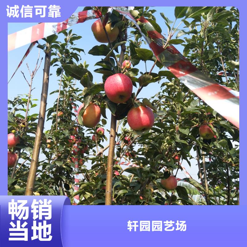 蘋果,花椒苗應用領域