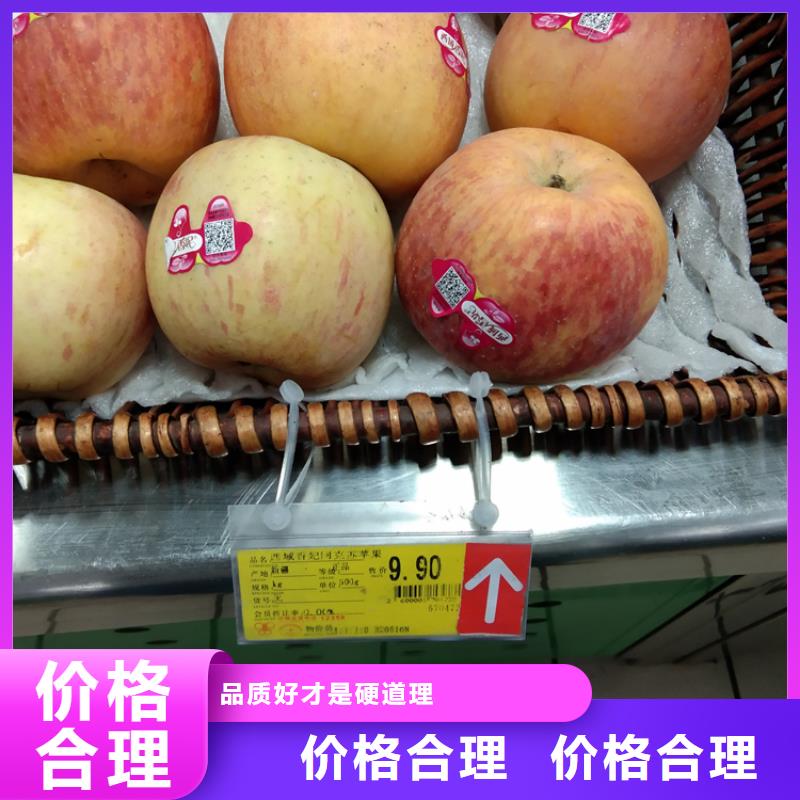 【 苹果 石榴苗真材实料加工定制】-市场覆盖|宽城|德惠|延边|吉林|四平|通化|辽源-企业旺旺