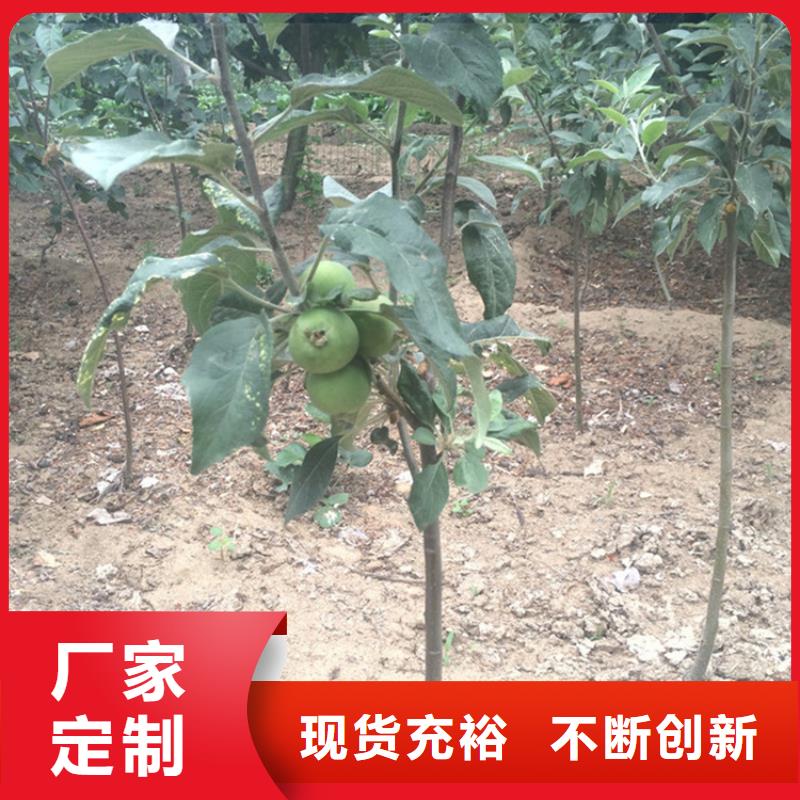 蘋果奶油草莓快速發(fā)貨